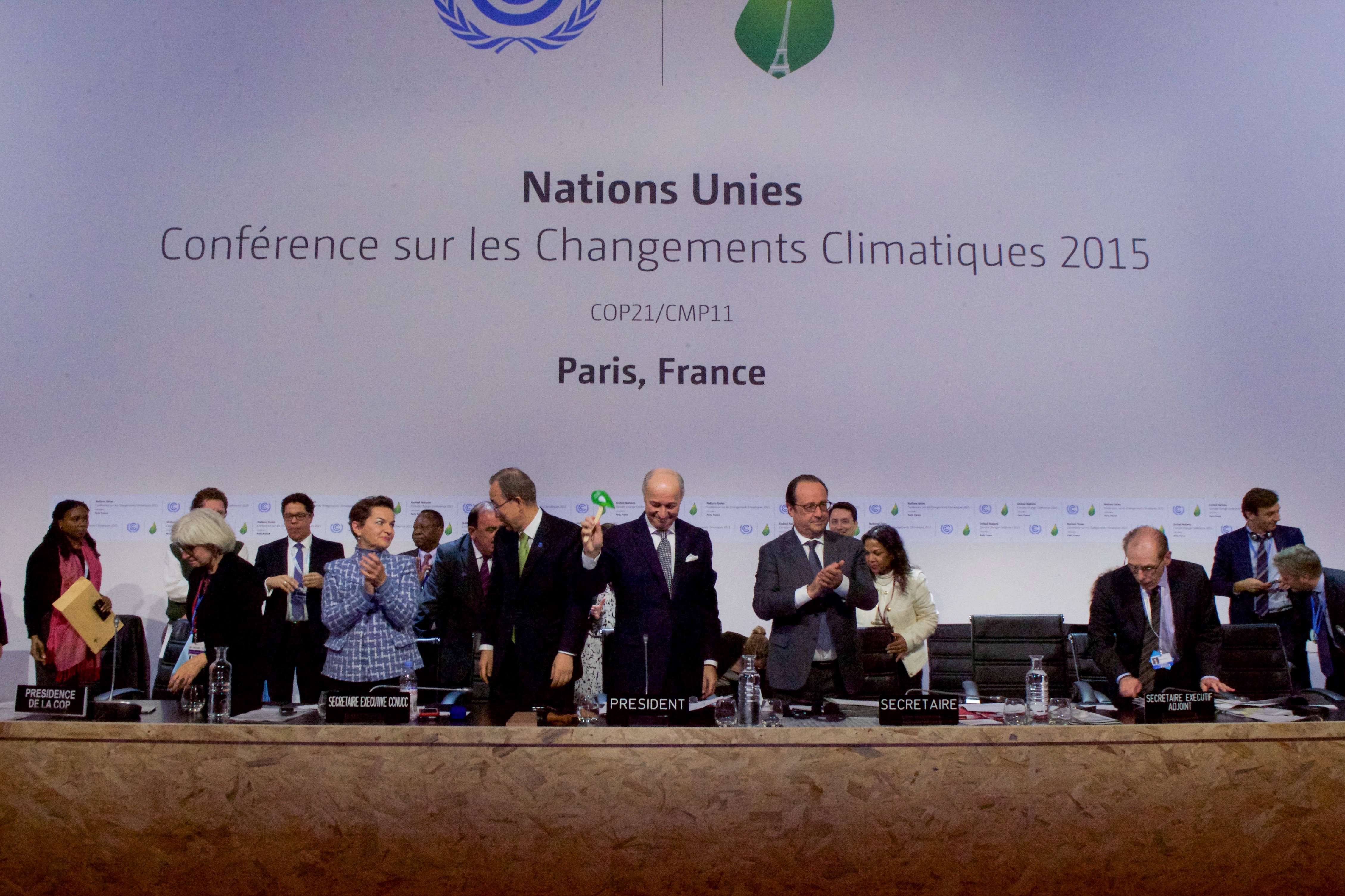 Laurent Fabius bangs down the gavel as the Paris Agreement is adopted at COP21